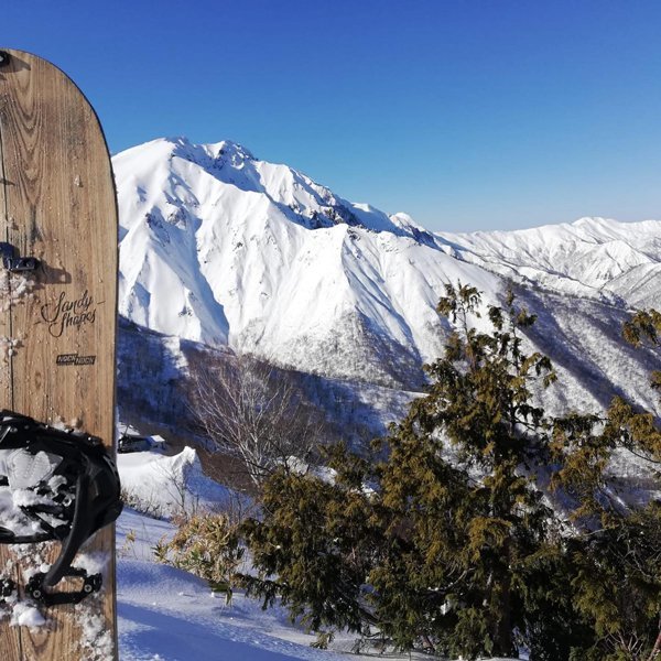 sandyshapes custom snowboards for nock nock freeride shop